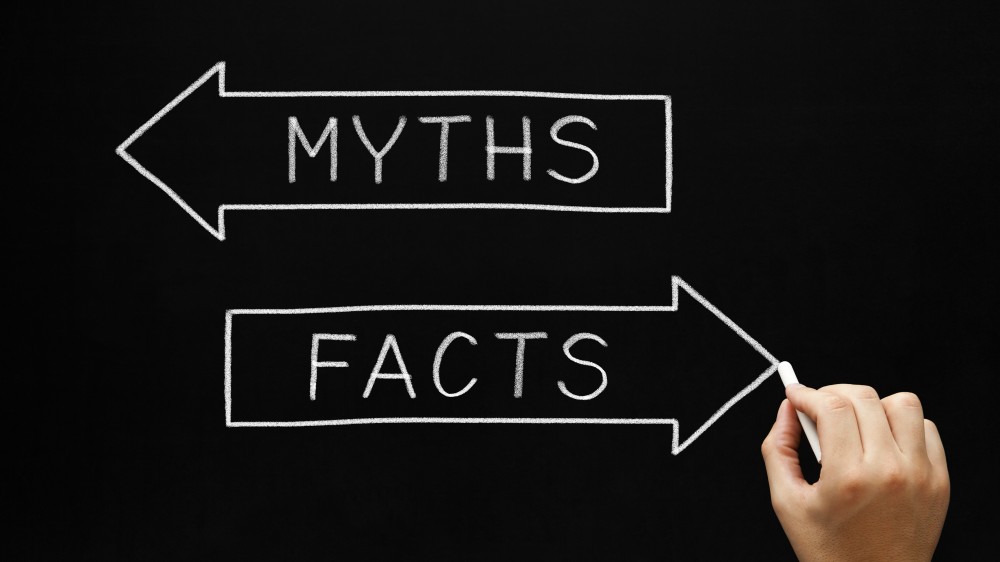 Image result for facts myths
