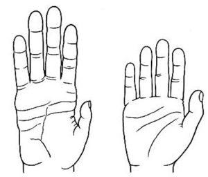 Black and white lawn drawing of a human hand and a chimp hand, showing similarities in DNA