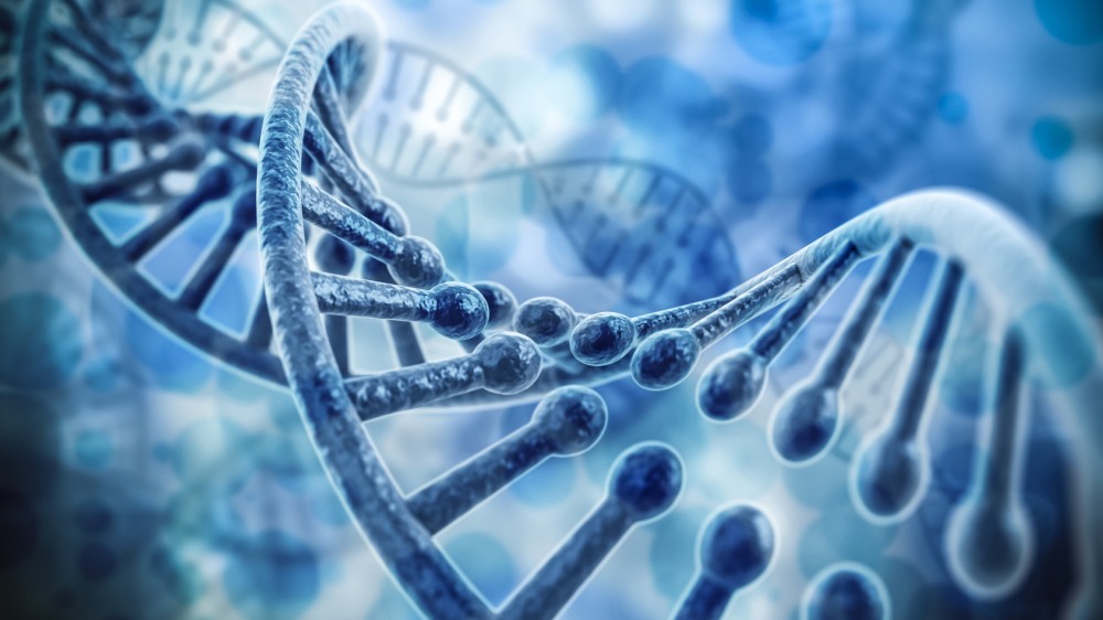 DNA paternity test science