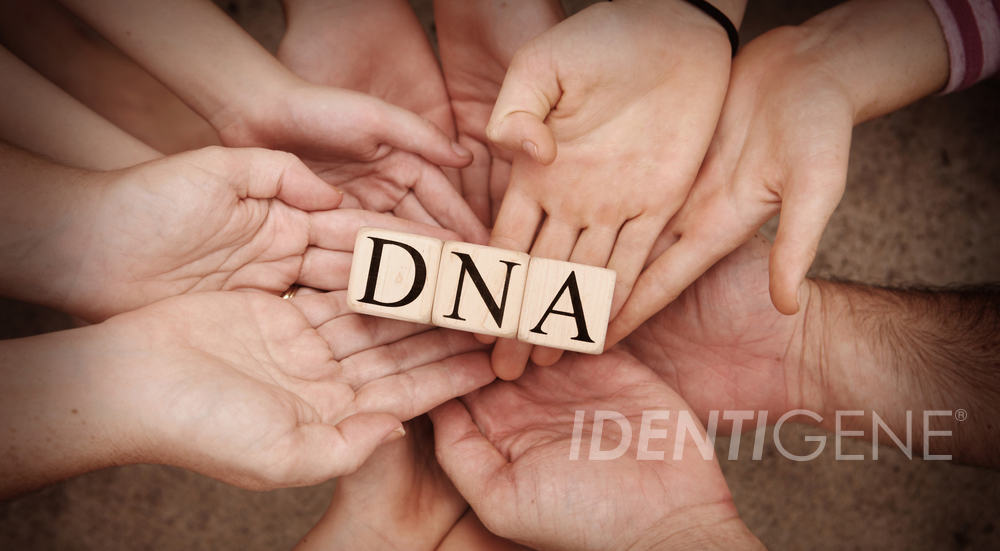 dna-facts-that-just-may-shock-you-homedna-paternity